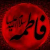 user85341819048002