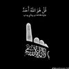 user13808254295572