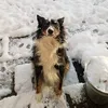 brianagh3