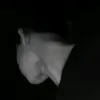 ._y2x