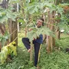 user6300611056081