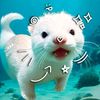 pandita_candy6y9