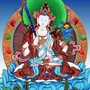 hanhnguyen2324