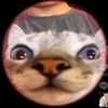 andrewrife4
