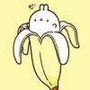 chocopie_z6