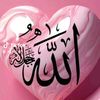 user1037470836309