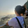 alesandra.silva.r