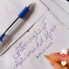 noor.fatima.shehz