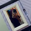 dyfa221