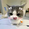 pi12915