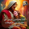 mmore374