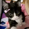 klaudia._to_ja