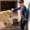 seyfettin.ozer