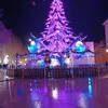 yamina.mlili
