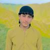 hussainjan4666