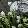 nht.linh6435
