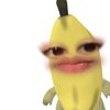 awa_ocett