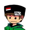 dzakki_pro