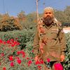 muhammad.yaseen5133