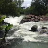 thuy_me_pangbowen