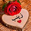 mntdiallo