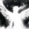 ronzz648