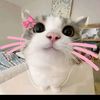 mie.mie4263