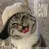 rrifqi0