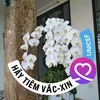 vnkhuyn3