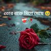 user72342908771194