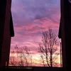 followforfollowback1262