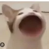 sminh.ph