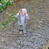 pesanuntuktiktok3