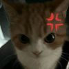 user4260744068308