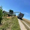 lulu.agri_08