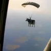 barbos_000