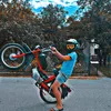 mr_tomos1