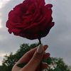 fxdhiyff0694224162