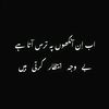 haroonislam2243