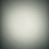 user280828199017