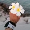 bo_hassan49