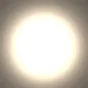 scavettaadeliam