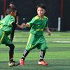 garuda.bperkasa