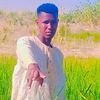 user3987734500054