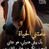 user372636094861
