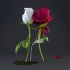 user6017140584680