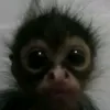beatrizllt