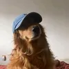 _xiuxiu12345678