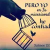 anaayelenillanez
