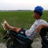 renganta_78